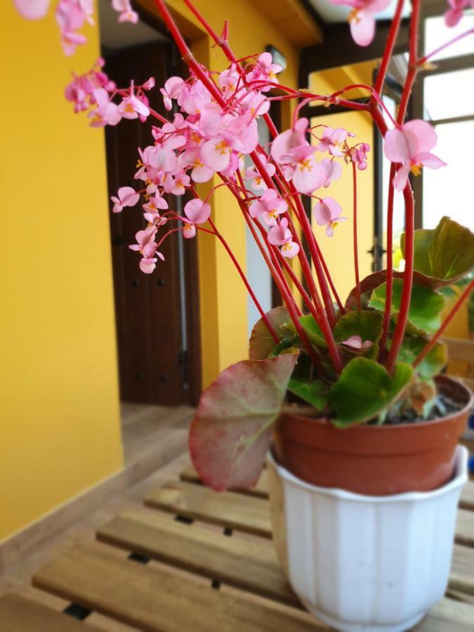 Vados - La Colina Appartement Arnuero Buitenkant foto